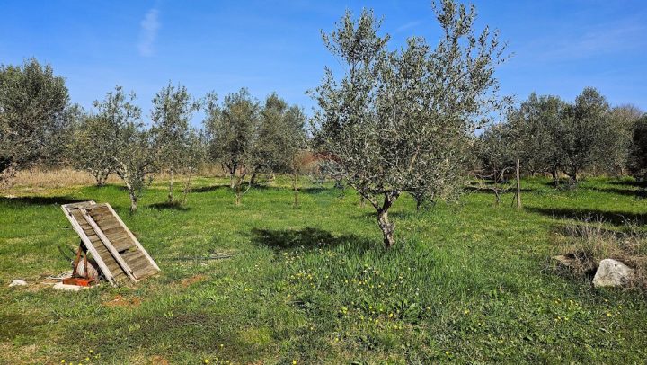 Grundstück Zu verkaufen - Istarska Umag - foto 5/6