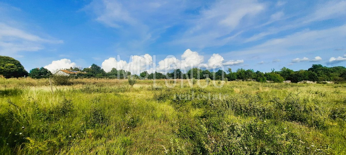 Parcela Na predaj - Istarska Kanfanar - foto 1/7