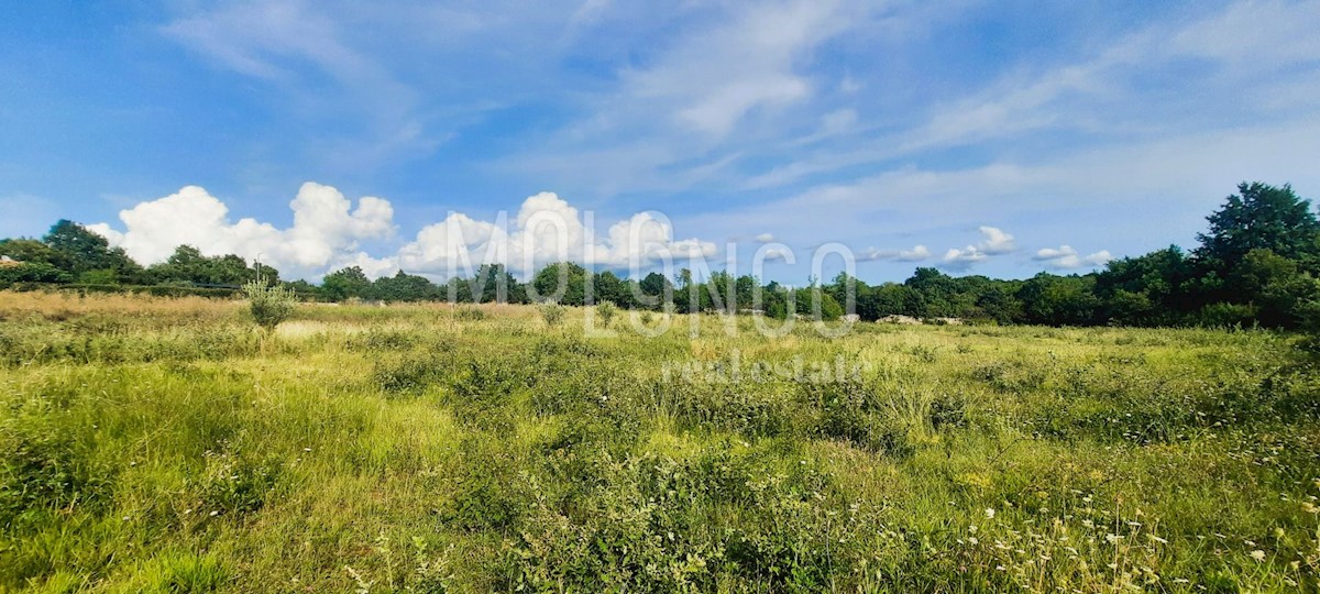 Parcela Na predaj - Istarska Kanfanar - foto 2/7