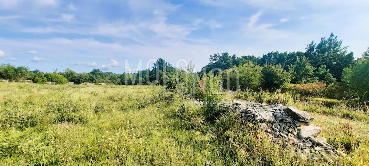Parcela Na predaj - Istarska Kanfanar - foto 4/7