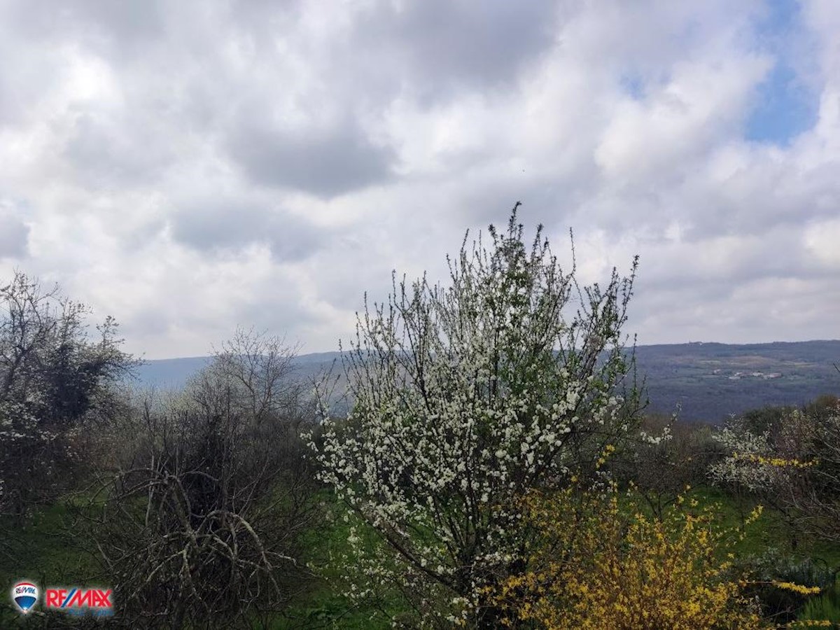 Haus Zu verkaufen - ISTARSKA LABIN