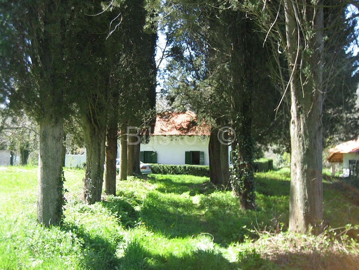 House For rent - šibensko-kninska Drniš - foto 2/4