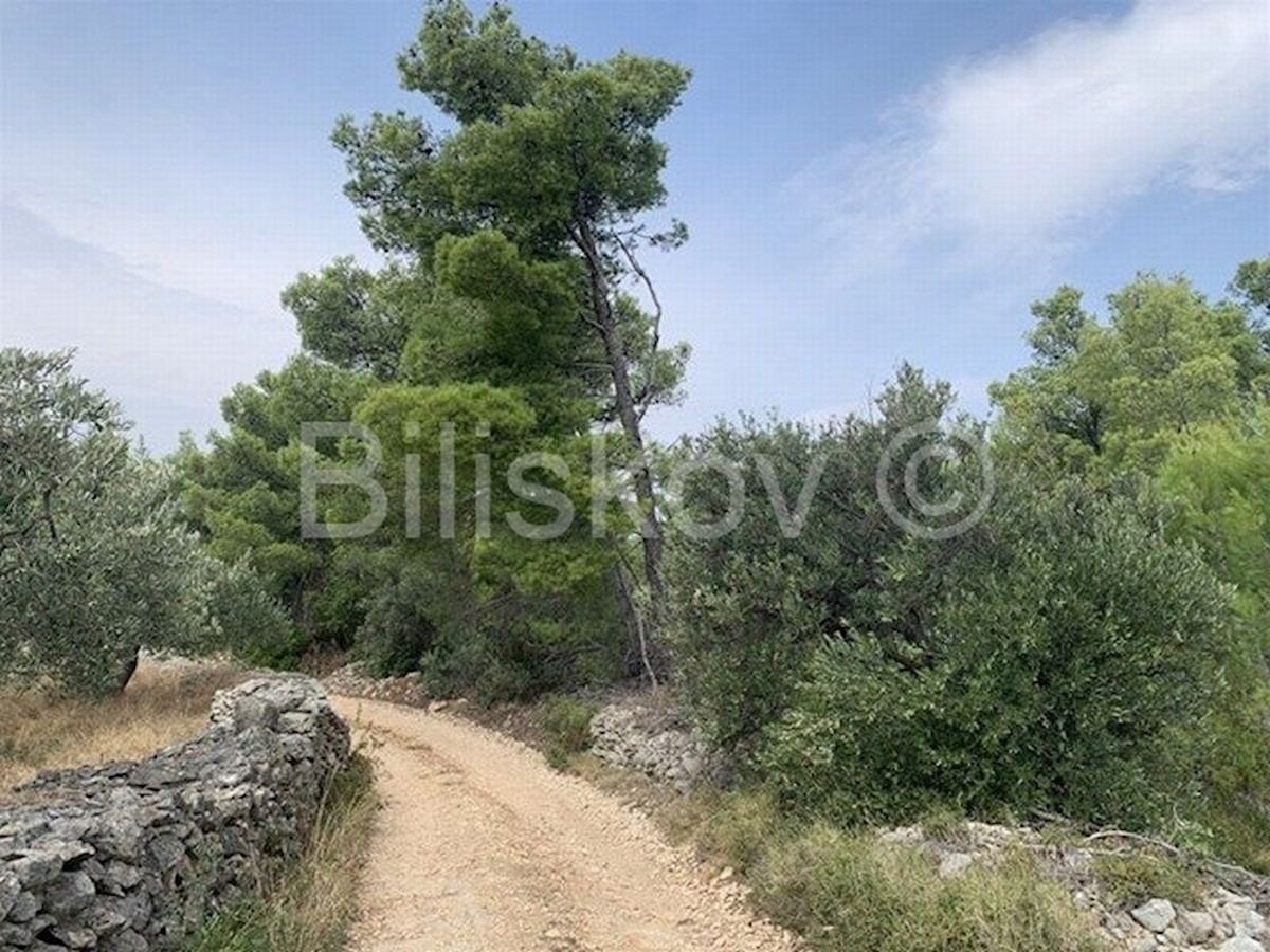 Land For sale - SPLITSKO-DALMATINSKA SUPETAR