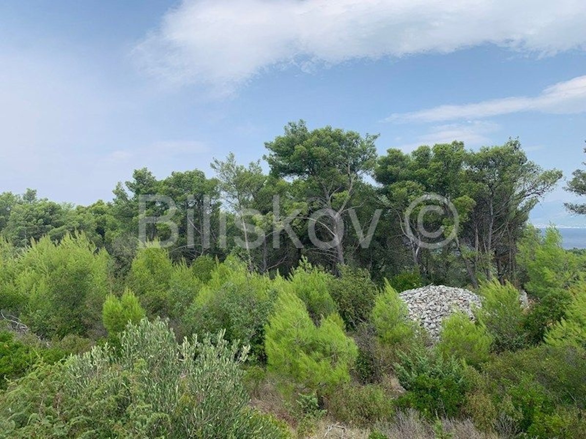 Land For sale - SPLITSKO-DALMATINSKA SUPETAR