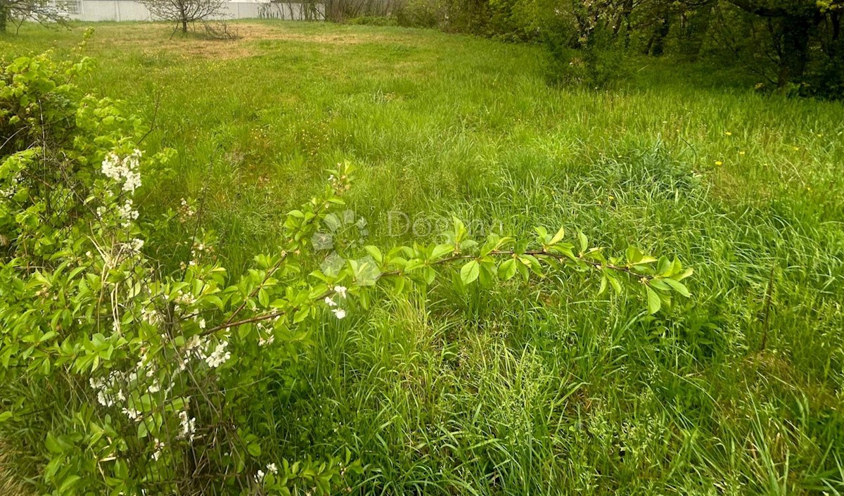 Terreno In vendita