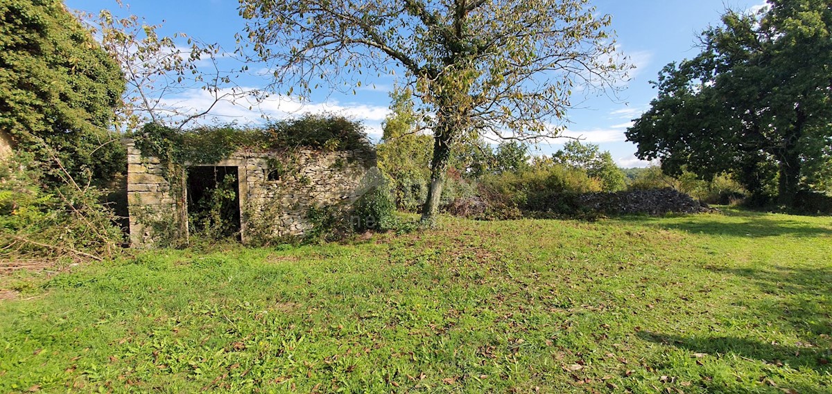 Haus Zu verkaufen - ISTARSKA GRAČIŠĆE