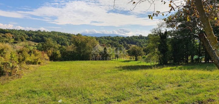 Terrain à vendre 7110 m² – Gračišće