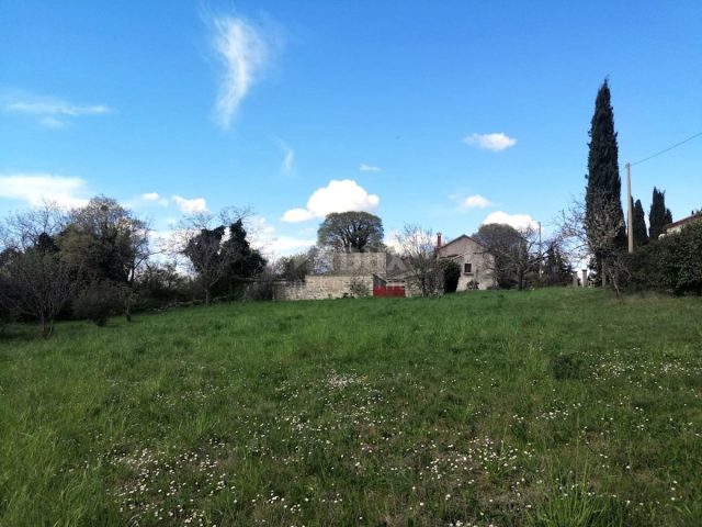Land for sale 3233 m² – Cere