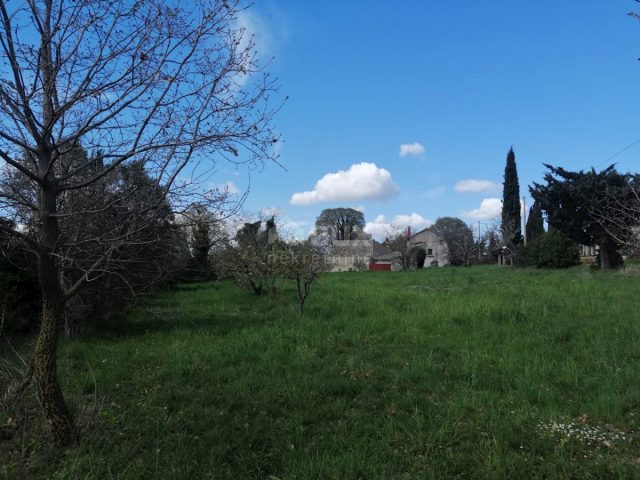 Pozemok Na predaj - Istarska žminj - foto 3/4