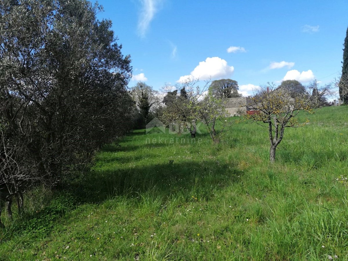 Terreno In vendita - ISTARSKA ŽMINJ