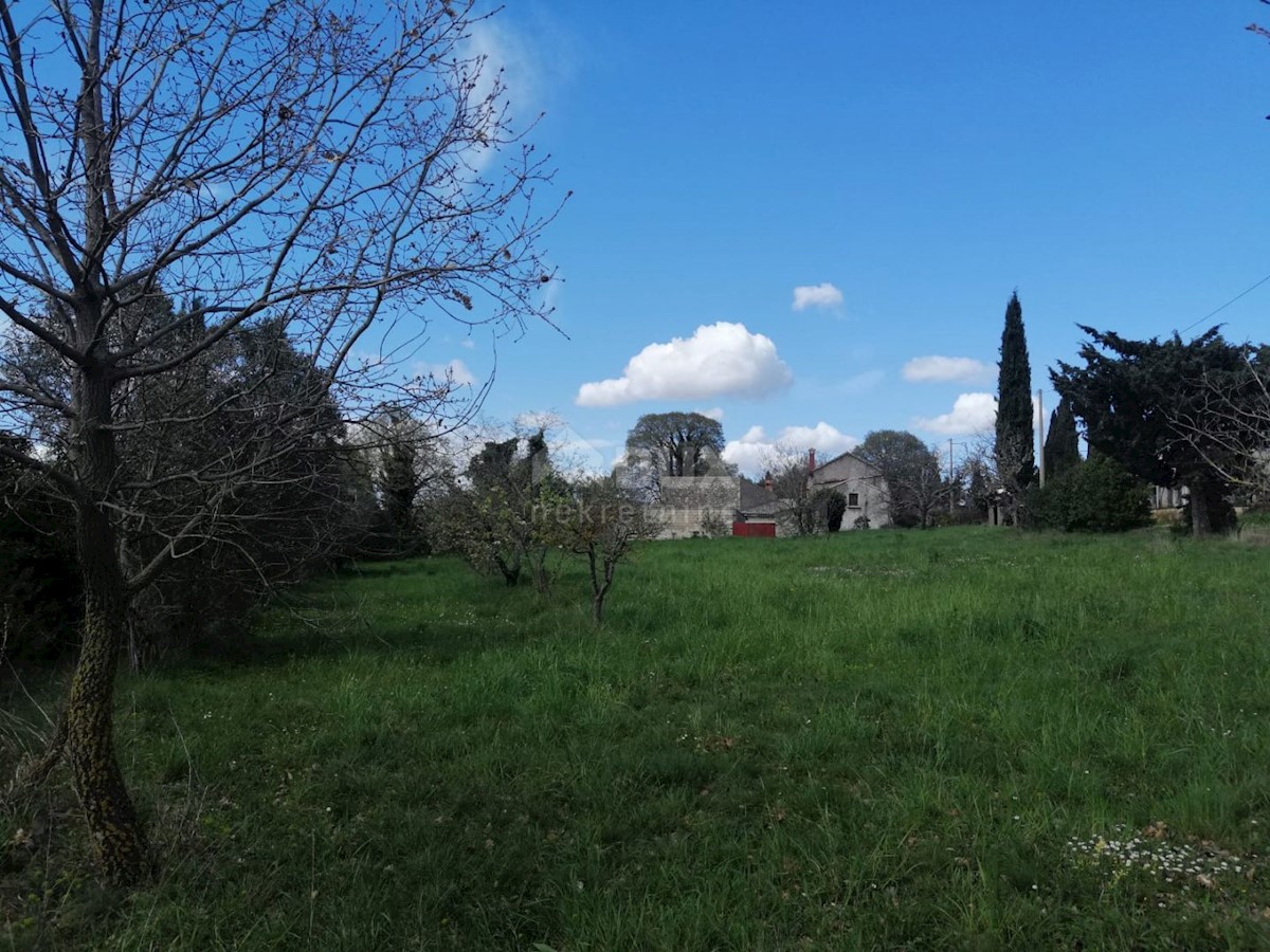 Terreno In vendita - ISTARSKA ŽMINJ