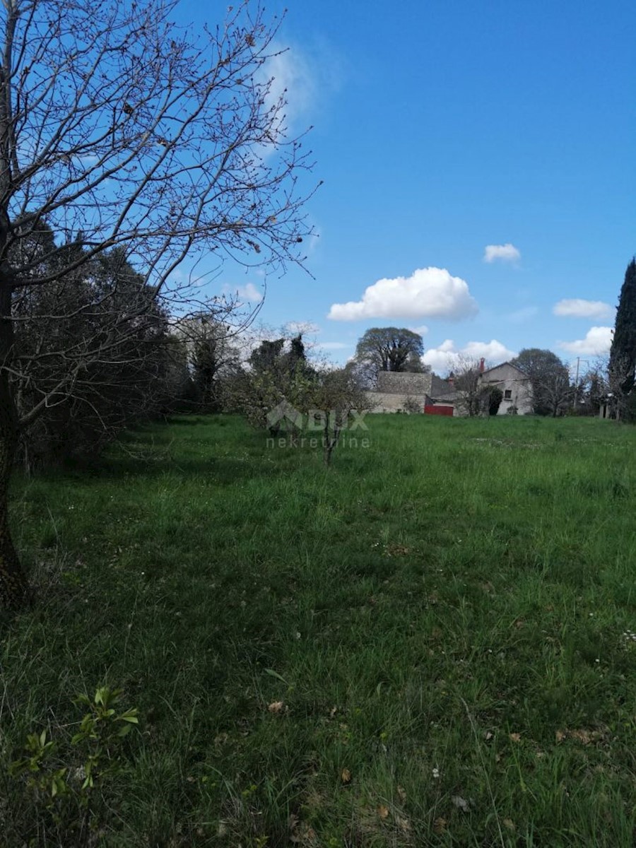 Terreno In vendita - ISTARSKA ŽMINJ