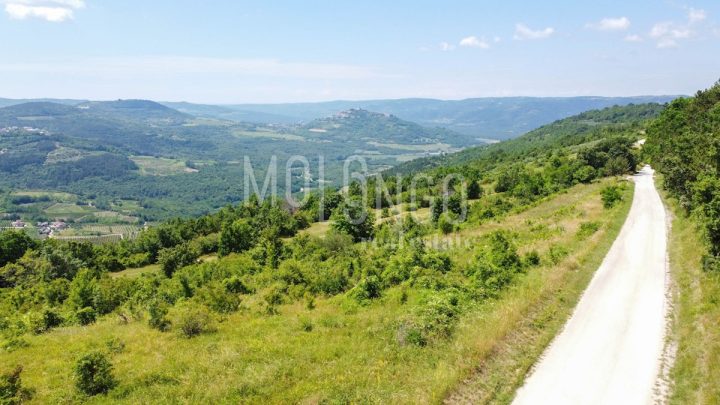 Pozemok na predaj 3667 m² – Motovun