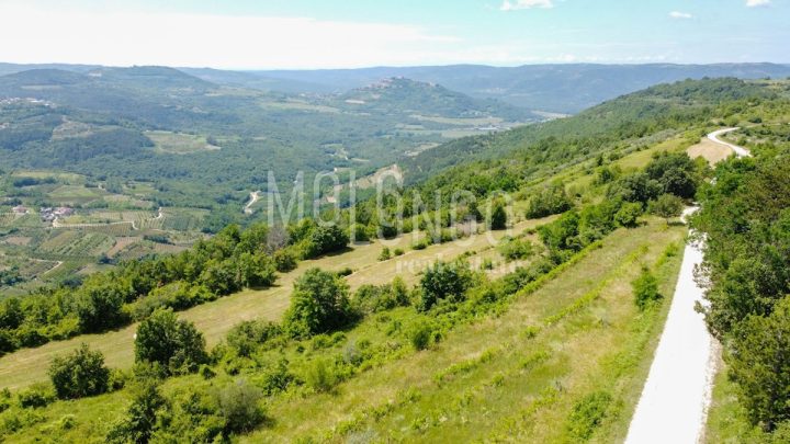 Grundstück Zu verkaufen - Istarska Motovun - foto 4/15