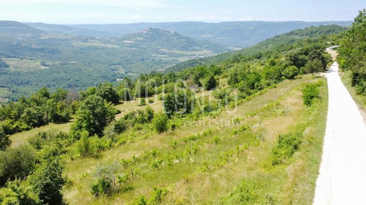 Grundstück Zu verkaufen - Istarska Motovun - foto 5/15