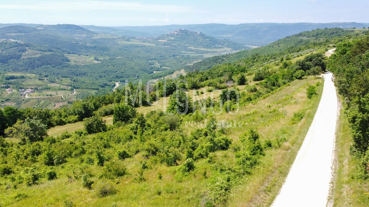 Grundstück Zu verkaufen - ISTARSKA MOTOVUN