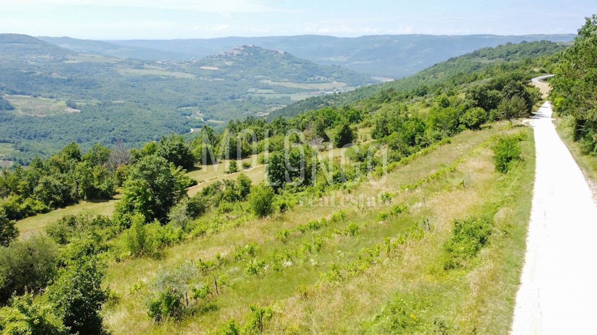 Grundstück Zu verkaufen - ISTARSKA MOTOVUN