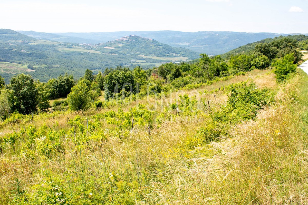 Grundstück Zu verkaufen - ISTARSKA MOTOVUN