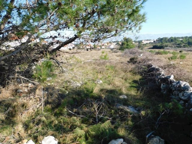 Terrain À vendre - Zadarska Vir - foto 4/7
