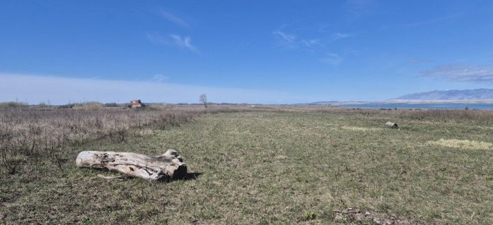 Pozemek na prodej 754 m² – Privlaka