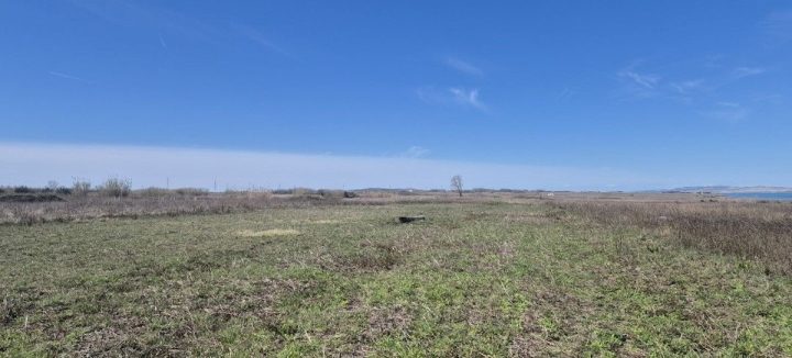 Pozemek na prodej 691 m² – Privlaka