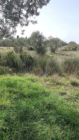 Parcela Na predaj - Zadarska Sukošan - foto 2/8