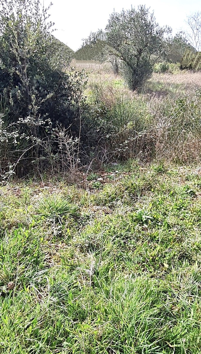 Parcela Na predaj - ZADARSKA SUKOŠAN