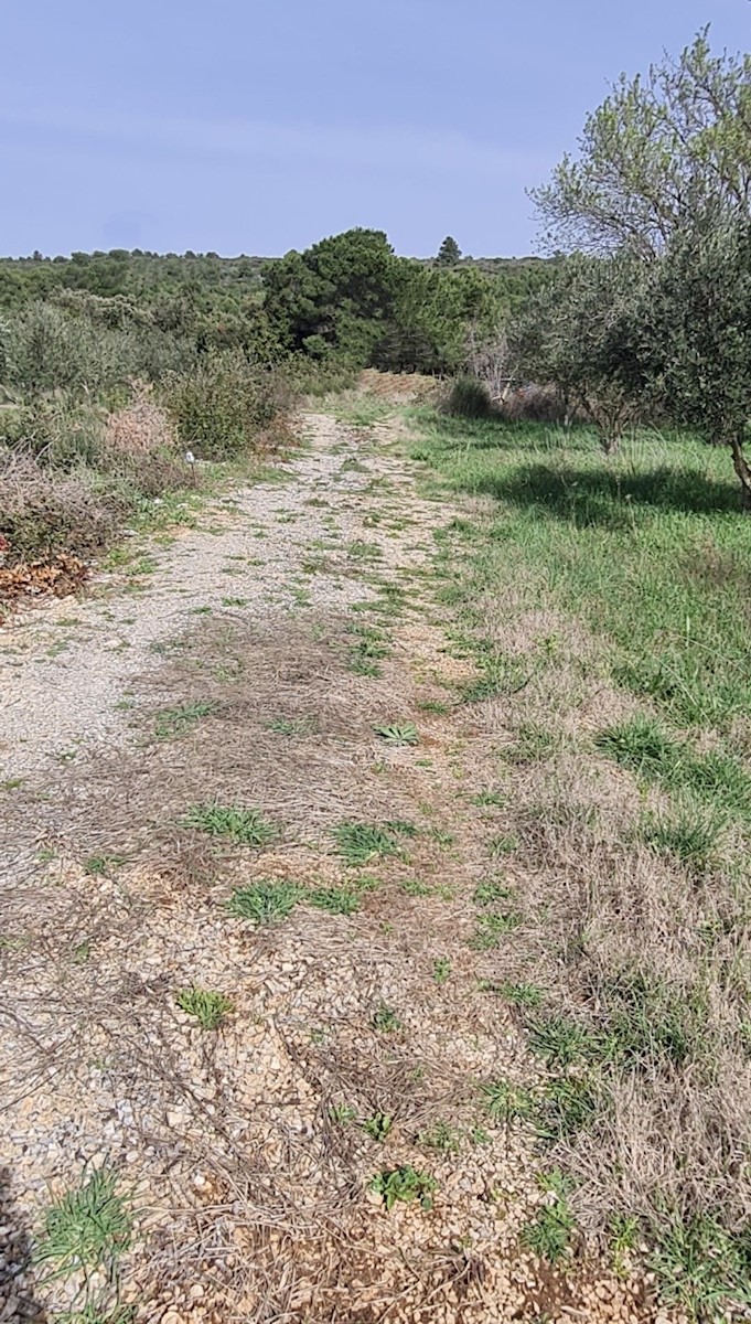 Parcela Na predaj - ZADARSKA SUKOŠAN