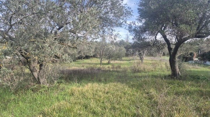 Pozemek Na prodej - Zadarska Zadar - foto 2/4