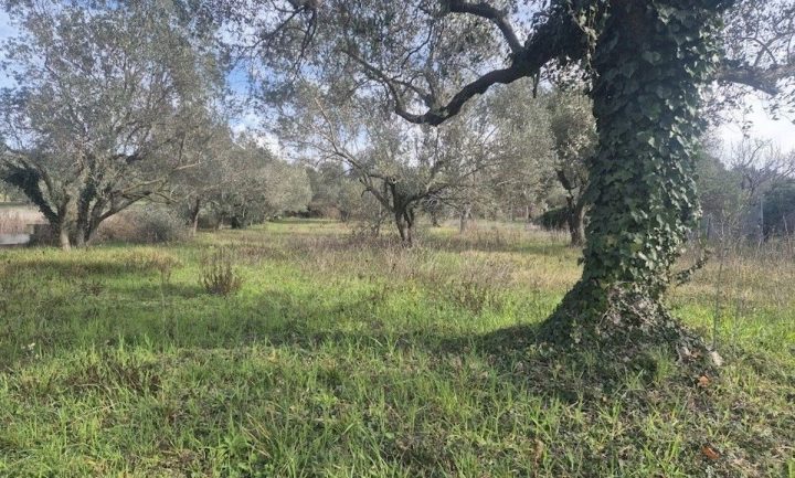 Pozemek Na prodej - Zadarska Zadar - foto 3/4