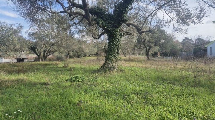Pozemek Na prodej - Zadarska Zadar - foto 4/4