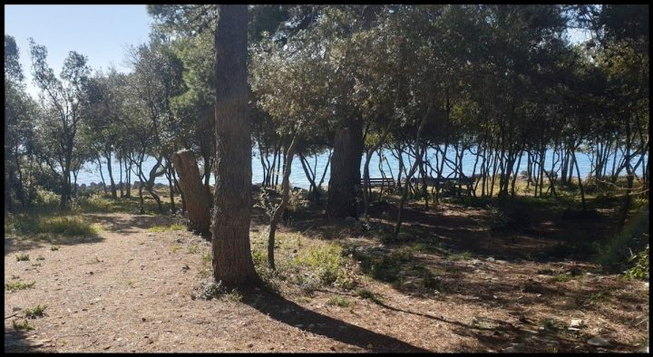 Parcela Naprodaj - Zadarska Zadar - foto 2/2