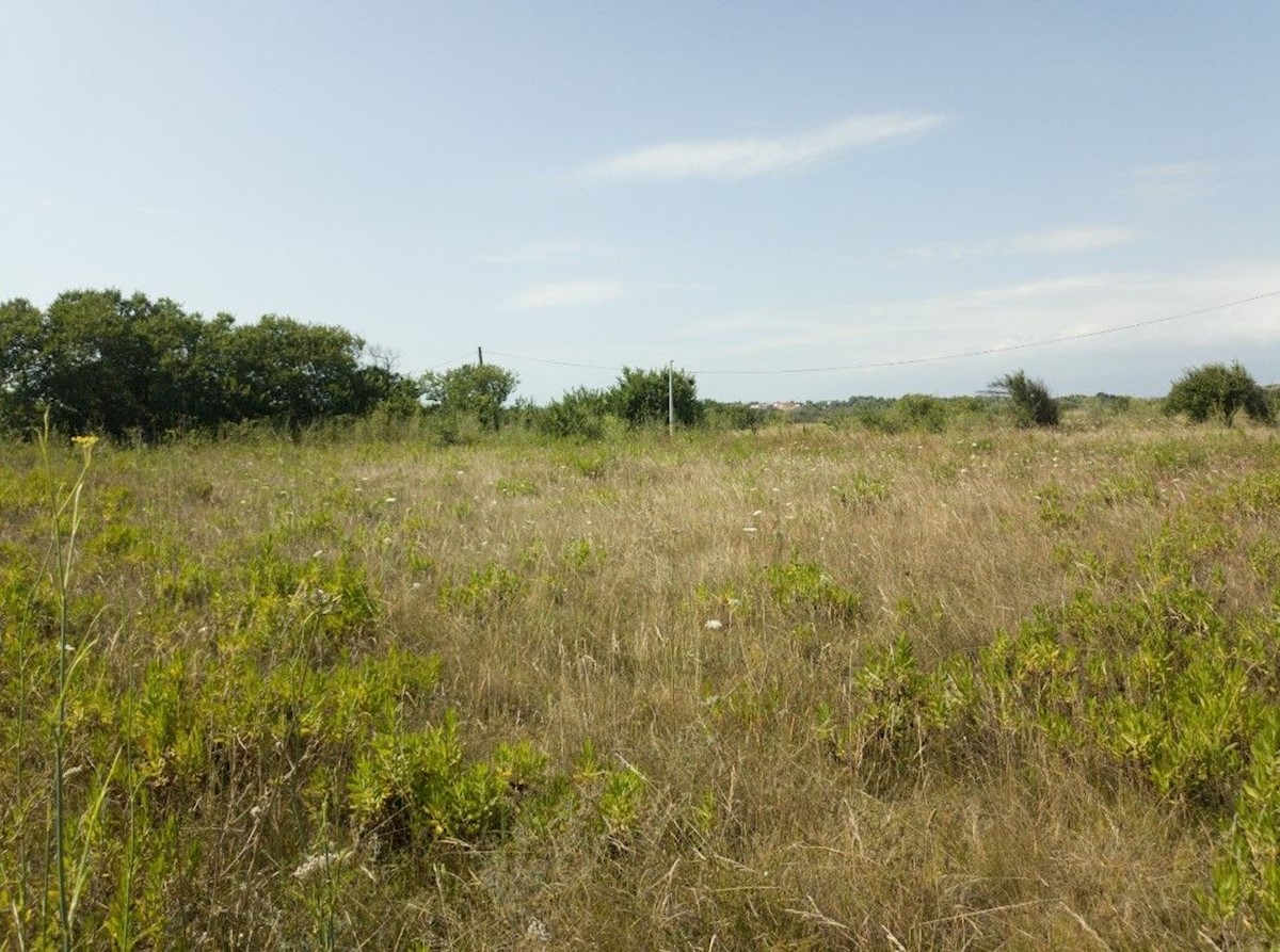 Land For sale PRIVLAKA