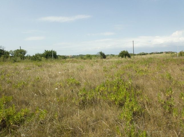 Pozemek Na prodej - Zadarska Privlaka - foto 2/2