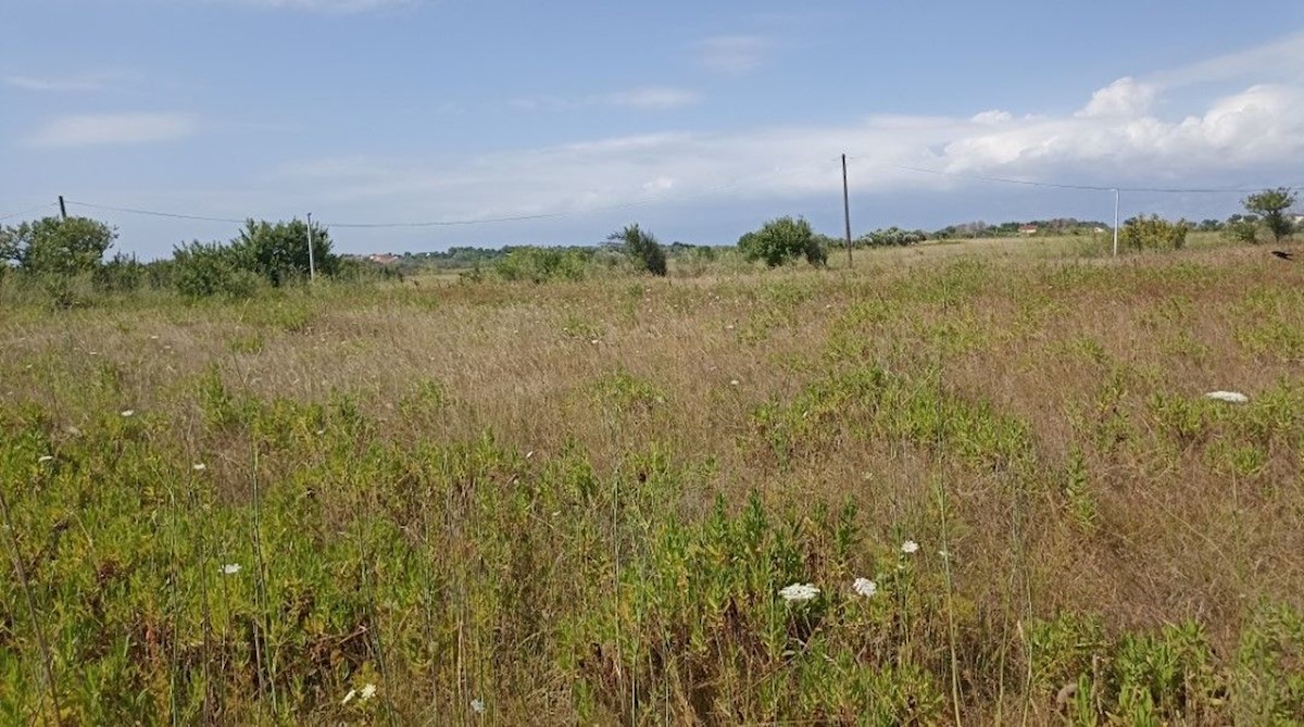 Land For sale - ZADARSKA PRIVLAKA