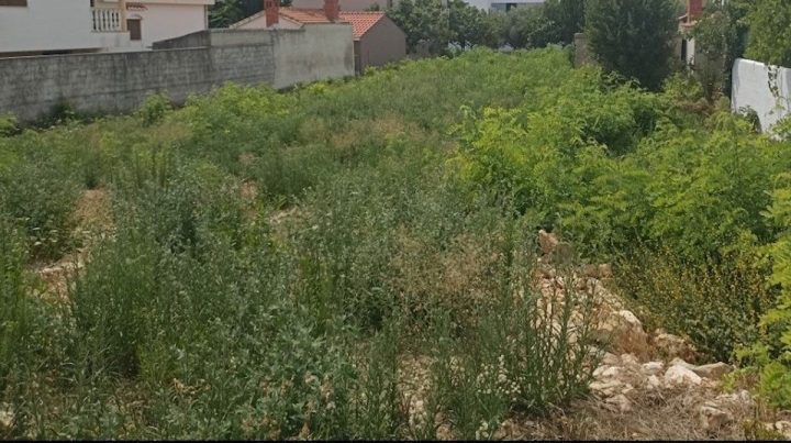 Pozemek Na prodej - Zadarska Privlaka - foto 2/2