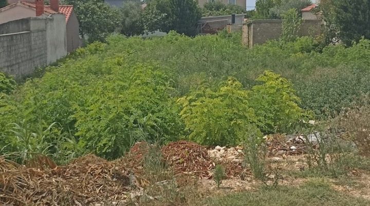 Parcela Naprodaj - Zadarska Privlaka - foto 3/3