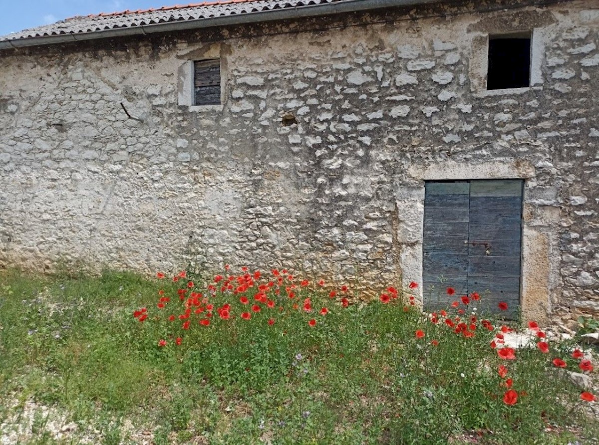 Haus Zu verkaufen - ZADARSKA POLIČNIK