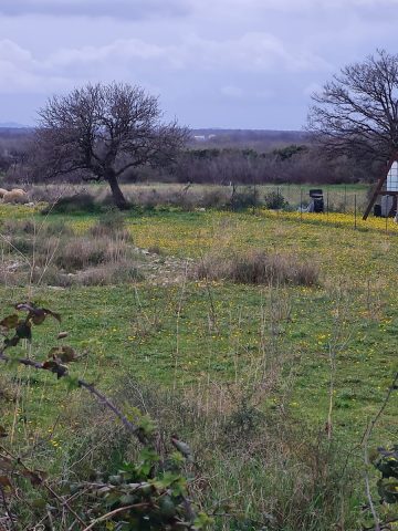 Land For sale - Zadarska Nin - foto 2/2