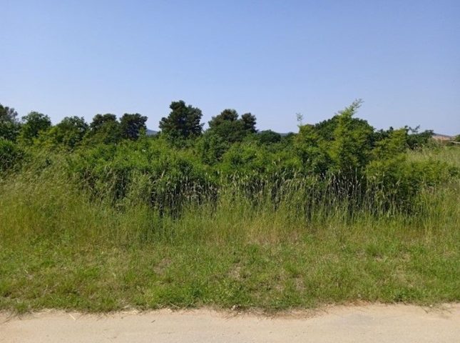 Grundstück Zu verkaufen - Zadarska Biograd Na Moru - foto 2/2