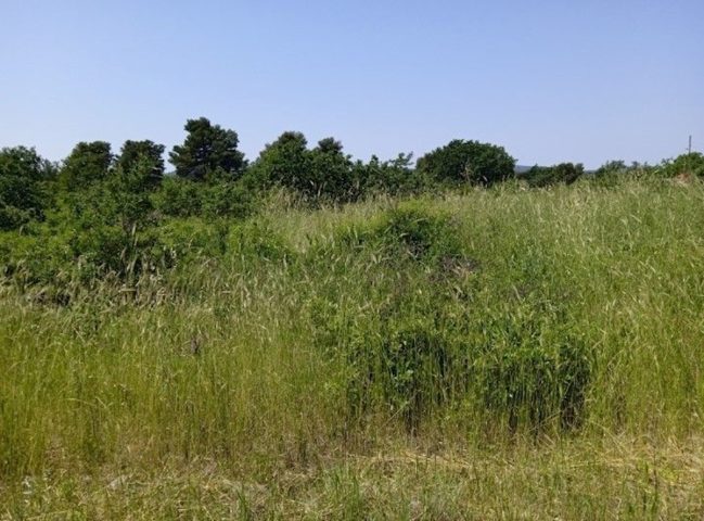 Parcela Naprodaj - Zadarska Biograd Na Moru - foto 3/3