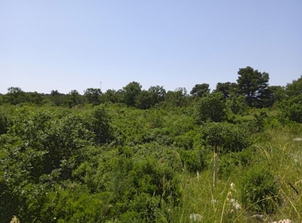 Pozemok Na predaj - ZADARSKA BIOGRAD NA MORU