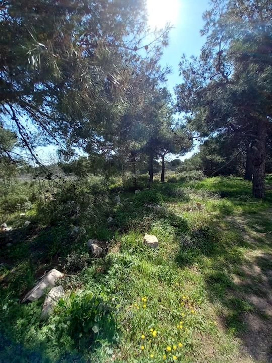 Zemljište Na prodaju - ZADARSKA BIOGRAD NA MORU