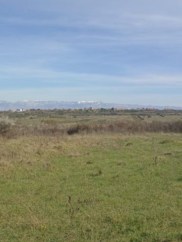 Land for sale 1702 m² – Zadar