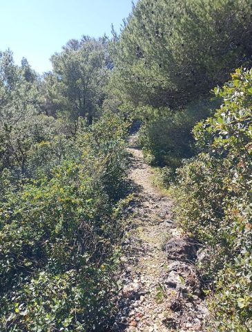 Terrain À vendre - Zadarska Zadar - foto 4/7