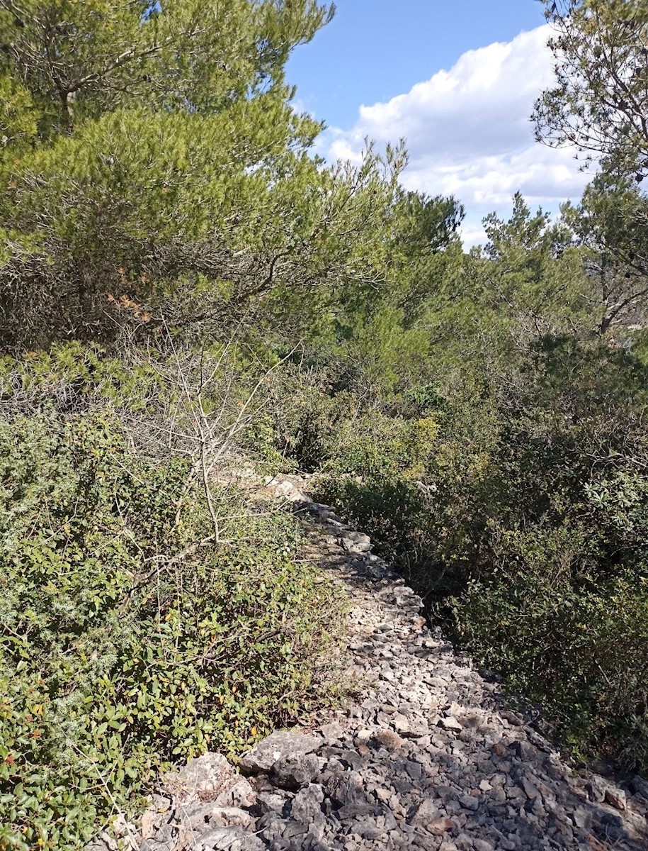 Terrain À vendre - ZADARSKA ZADAR