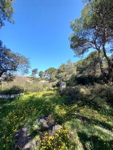 Terrain à vendre 1756 m² – Sveti Filip I Jakov
