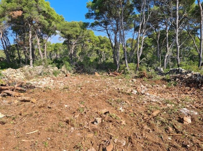 Terreno In vendita - Zadarska Zadar - foto 2/2