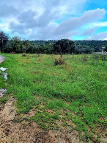 Parcela Naprodaj - Zadarska Sukošan - foto 4/4
