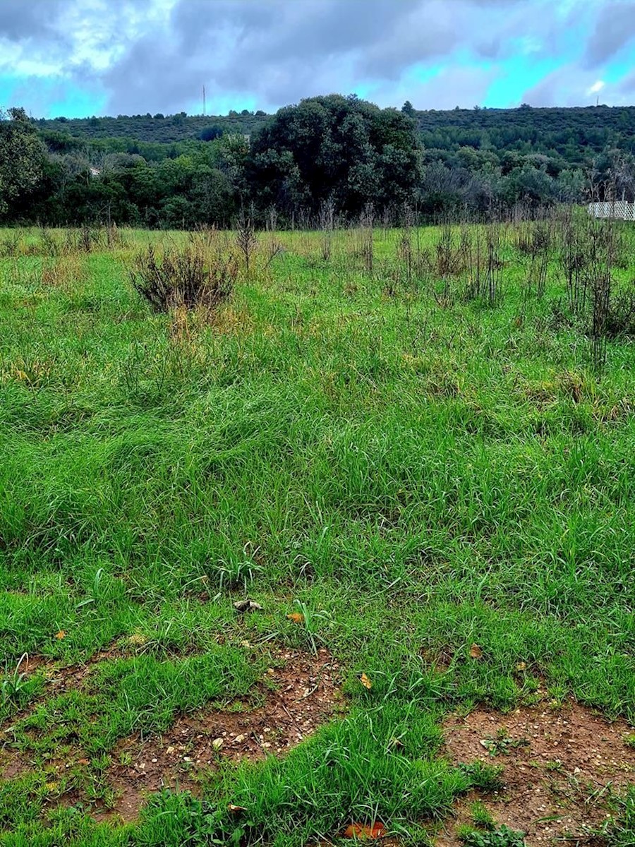 Land For sale - ZADARSKA SUKOŠAN